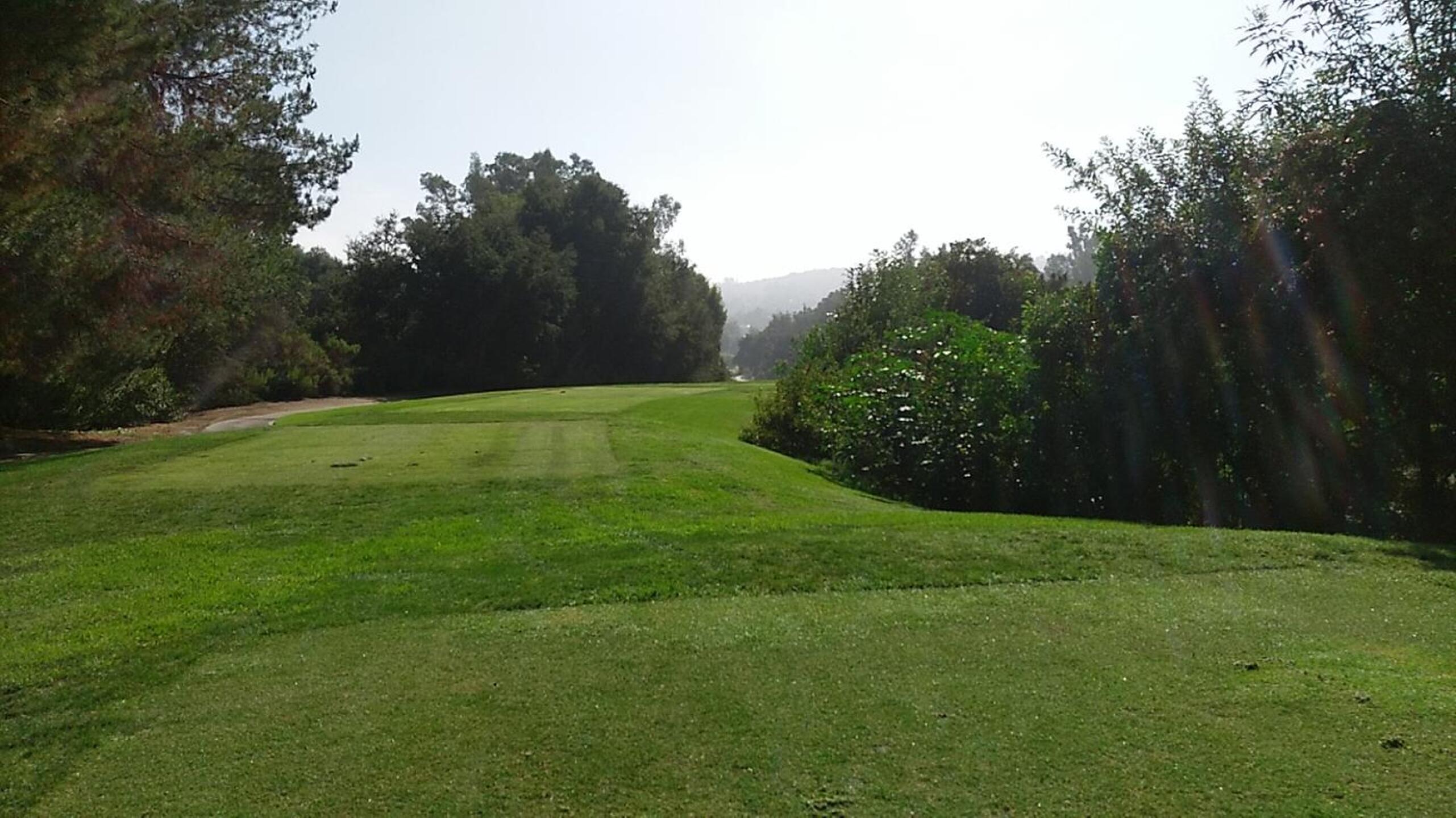blind shot from tee box (Photo submitted by DJSlider on 08/31/2020)