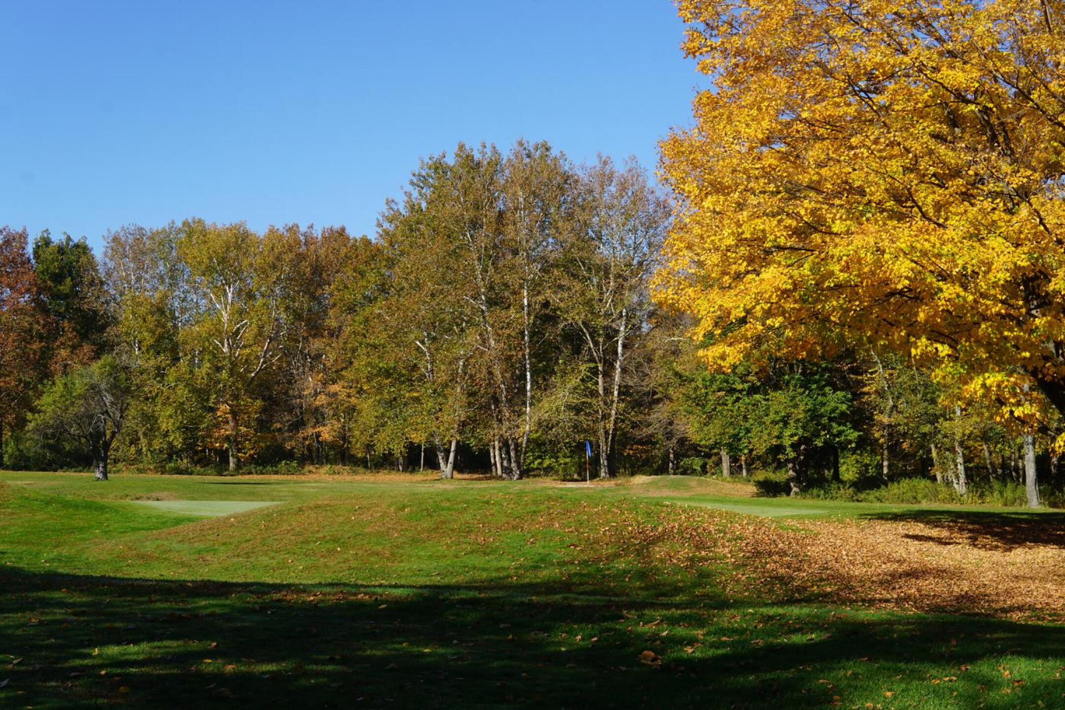 From behind the third green. (Photo submitted by AptlyLinked on 10/23/2022)