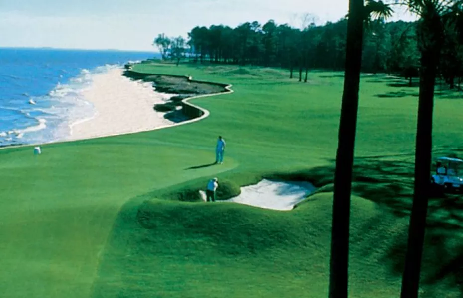 Melrose Club: palm trees on #18