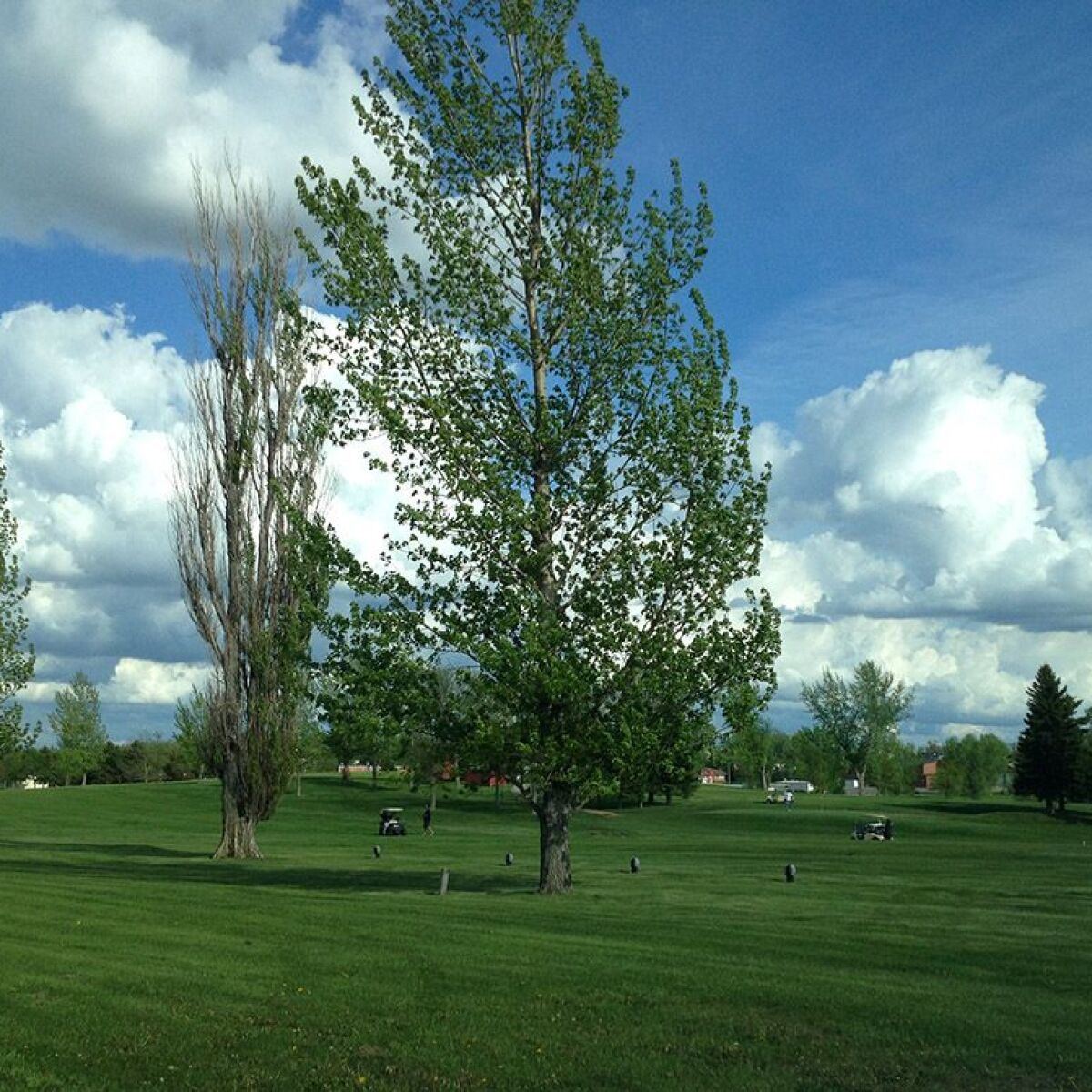 ster Golf Course in ster, South Dakota, USA Golf Advisor