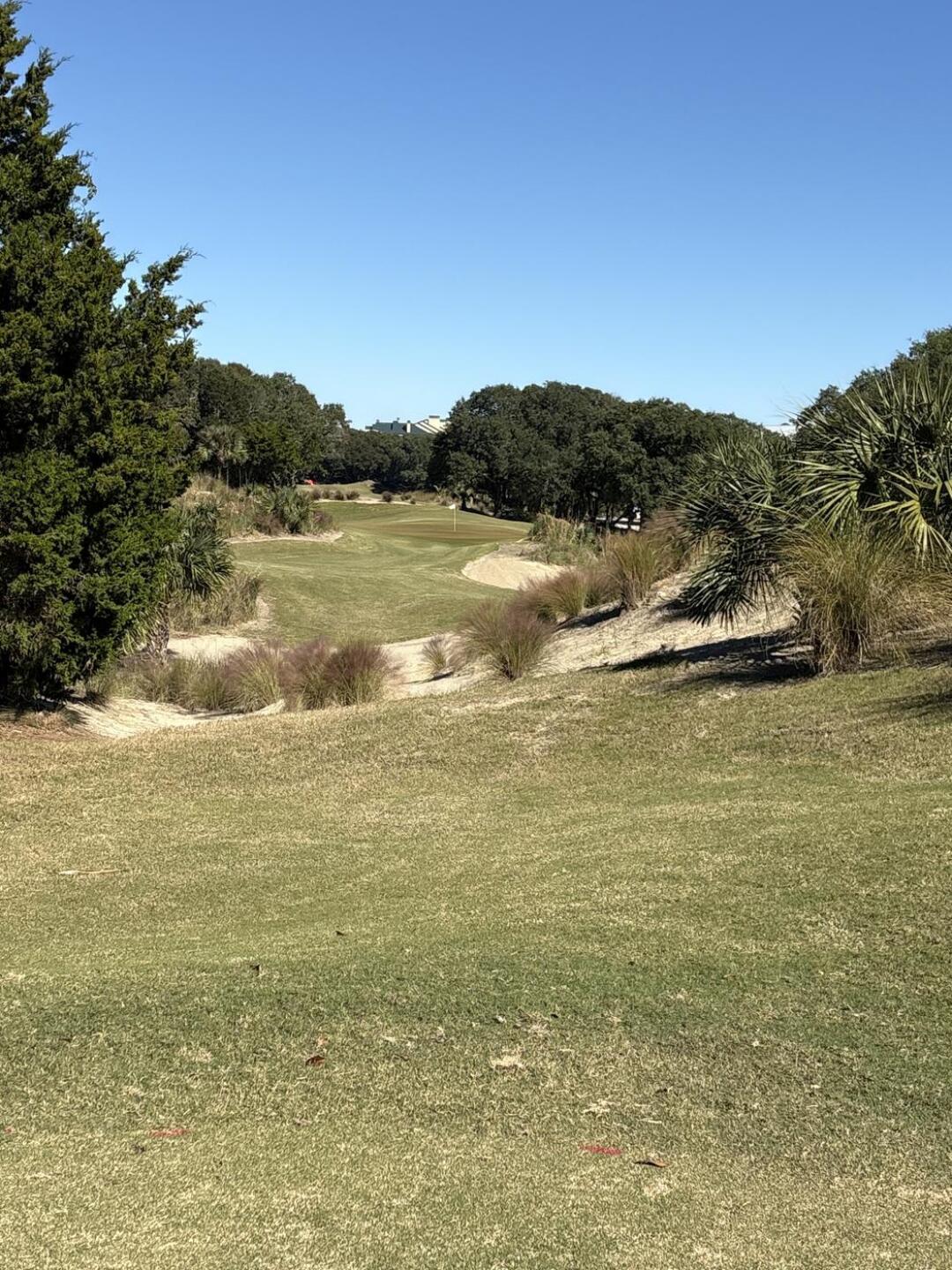 (Photo submitted by rustyshaffer on 11/09/2025)