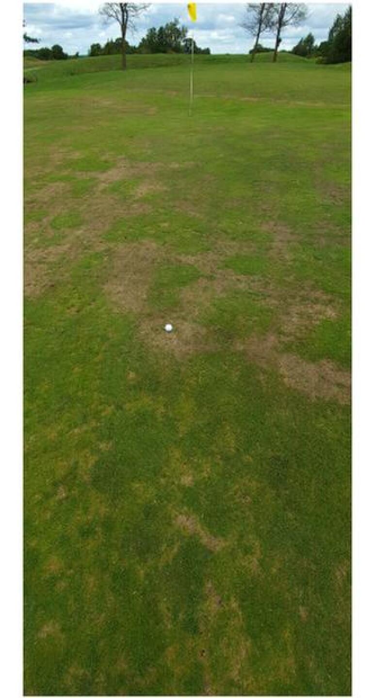 (Photo submitted by CKilminster on 07/10/2020)