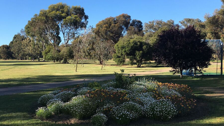 Euroa GC