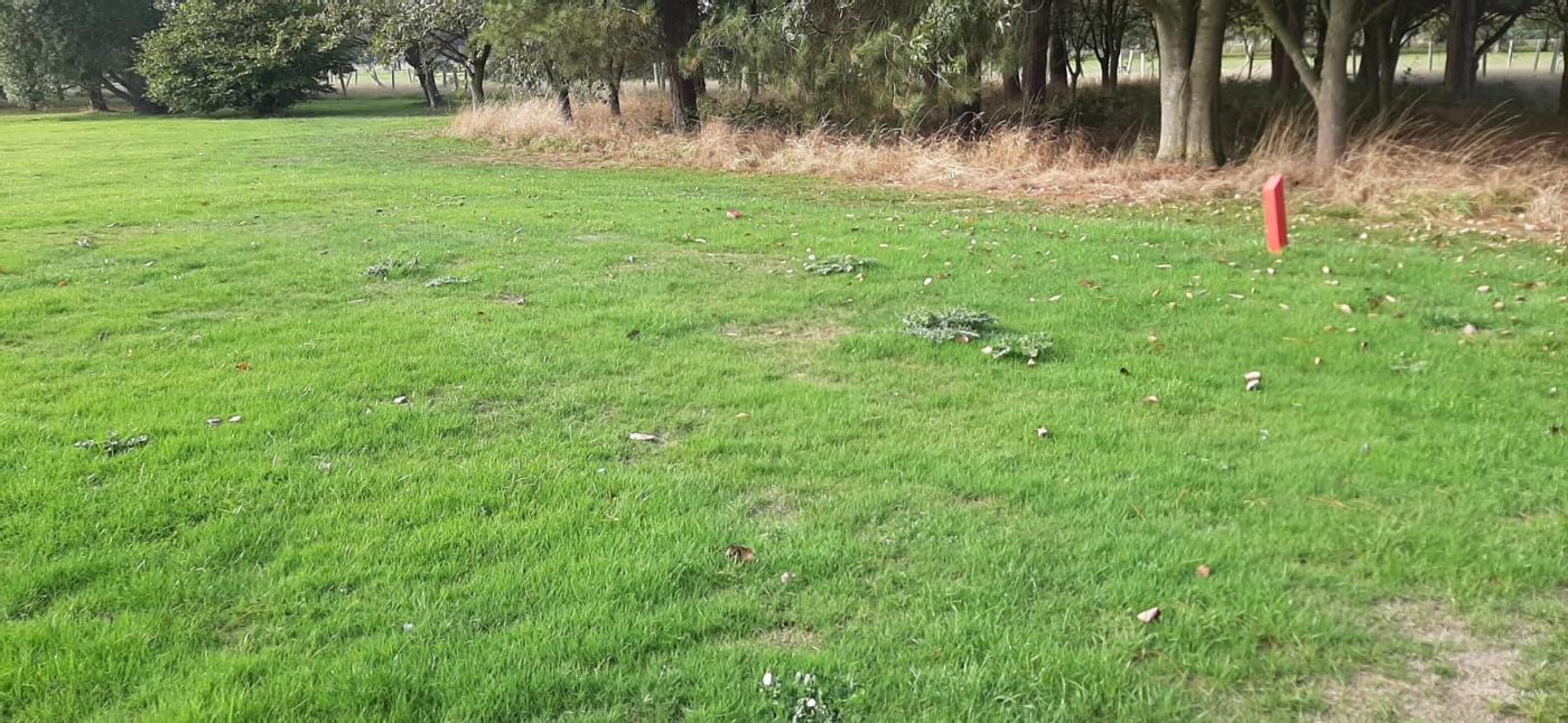 (Photo submitted by sfkdjhsfkjskfj on 09/28/2025)