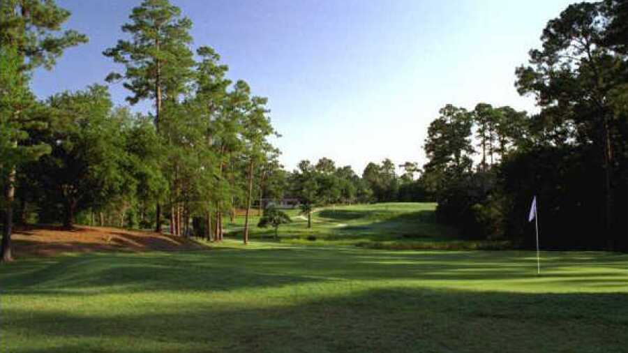 Gulf Hills CC: #17