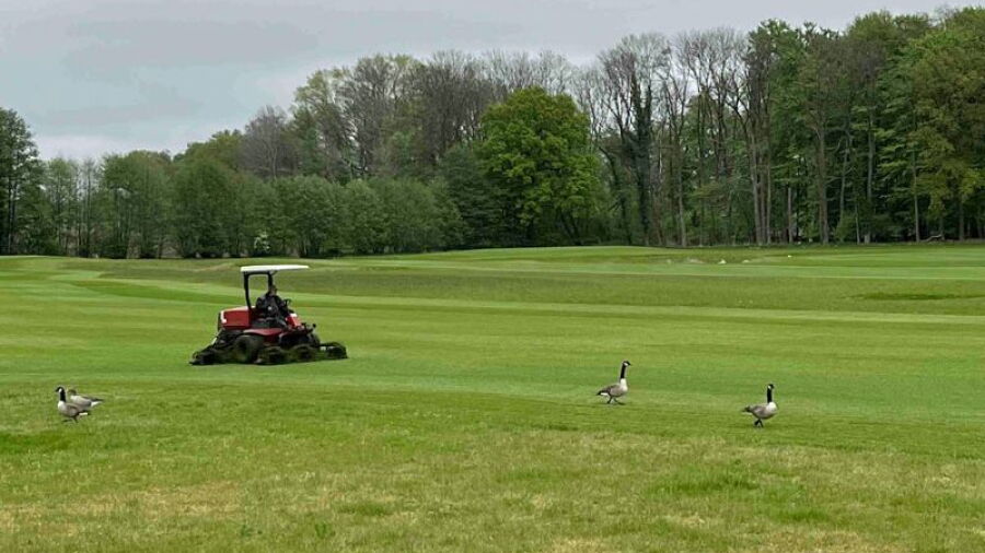 Gut Waldhof GC - 9-hole: #6
