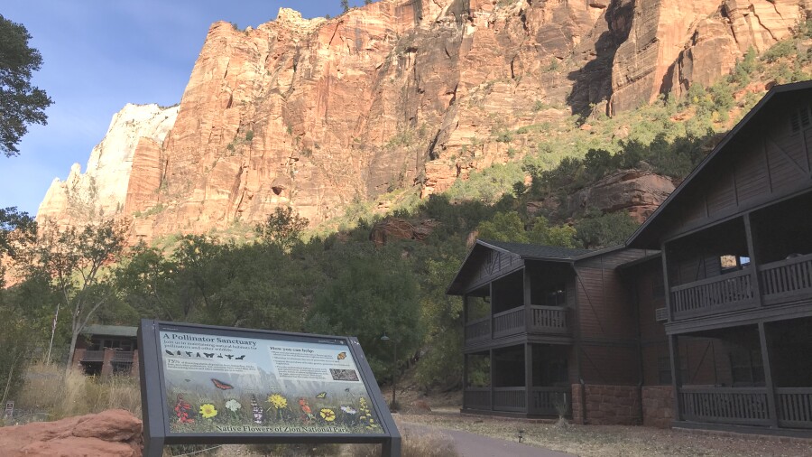 Zion National Park Lodge 