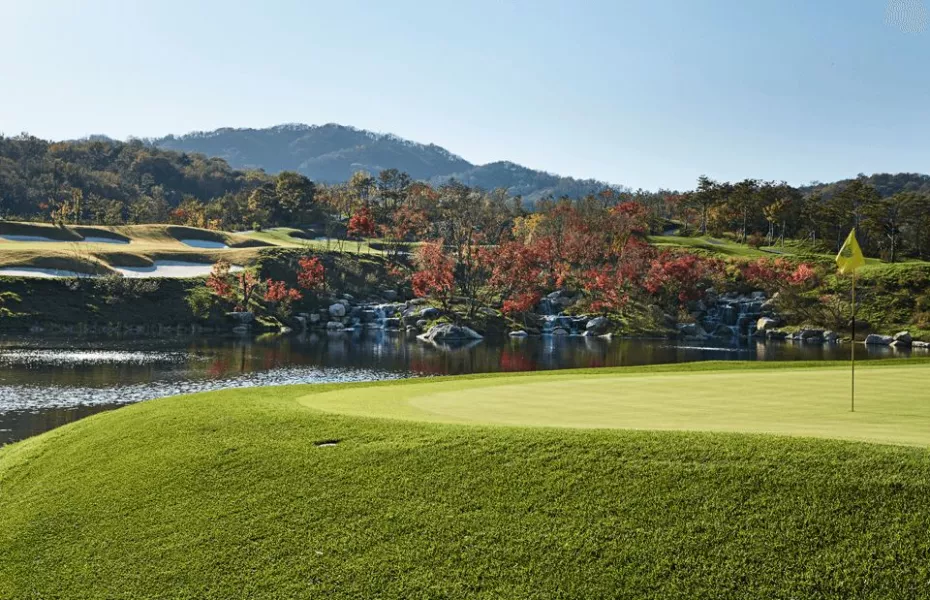 Wellington CC - Wyvern Nine: #7