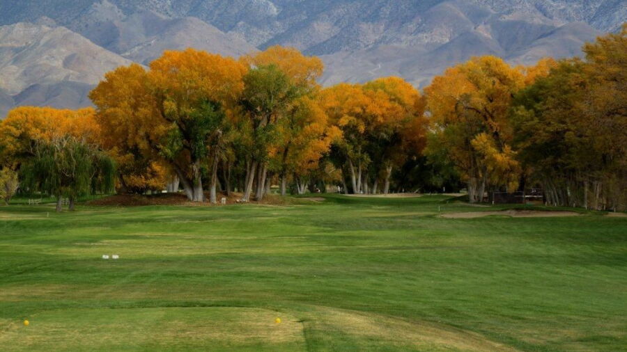 Bishop CC