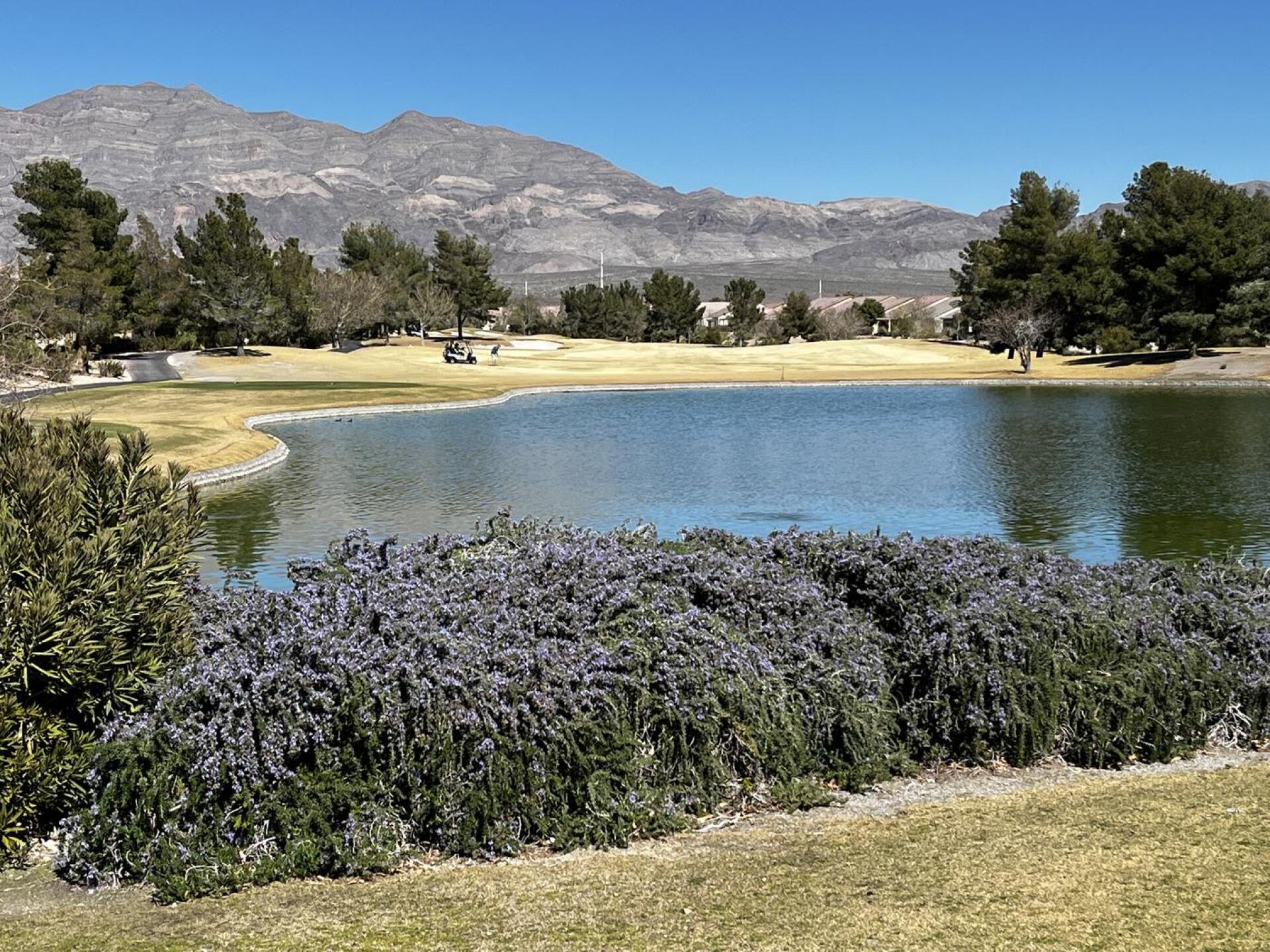 (Photo submitted by Tstep1868 on 03/02/2026)