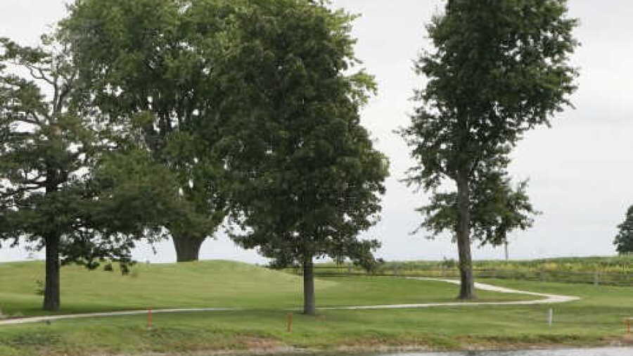 Waterloo CC