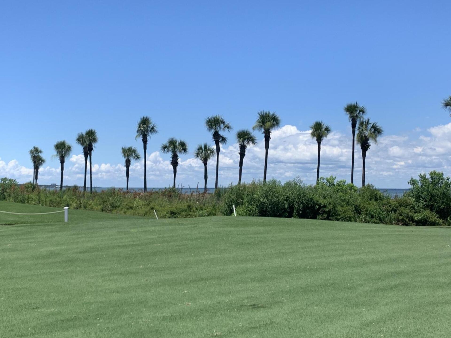 (Photo submitted by beyuWvbp6gN0ARBD6w0m on 07/06/2022)