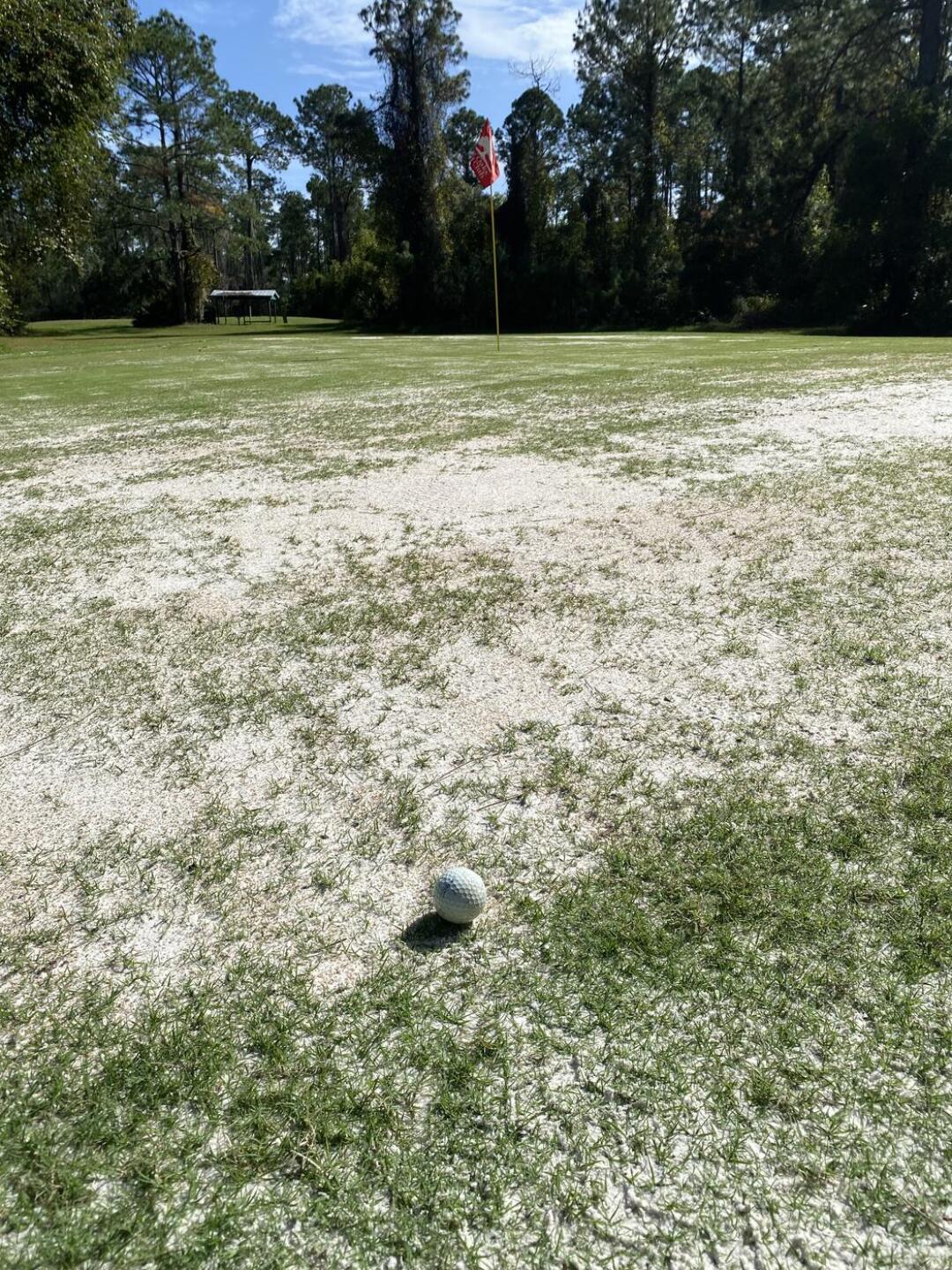 (Photo submitted by frnkxz11 on 11/15/2024)