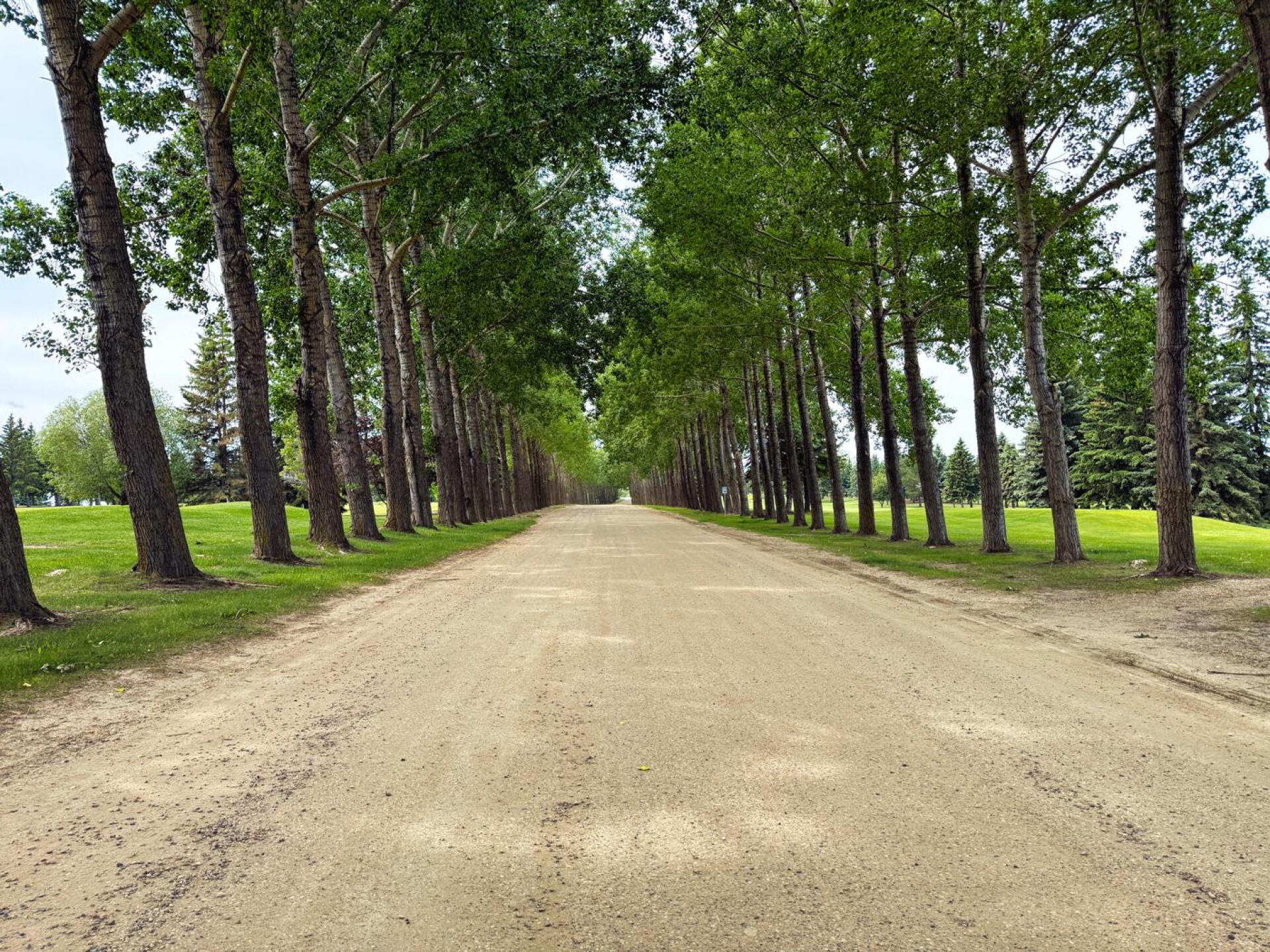 Silver Creek Golf & RV Resort, entry road (Photo submitted by DYakimec on 07/14/2026)