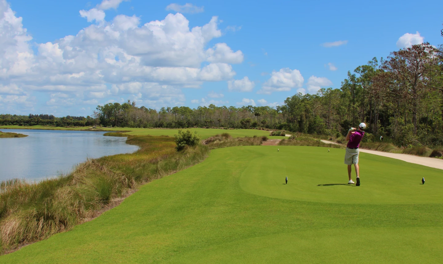TPC Treviso Bay - 12th hole