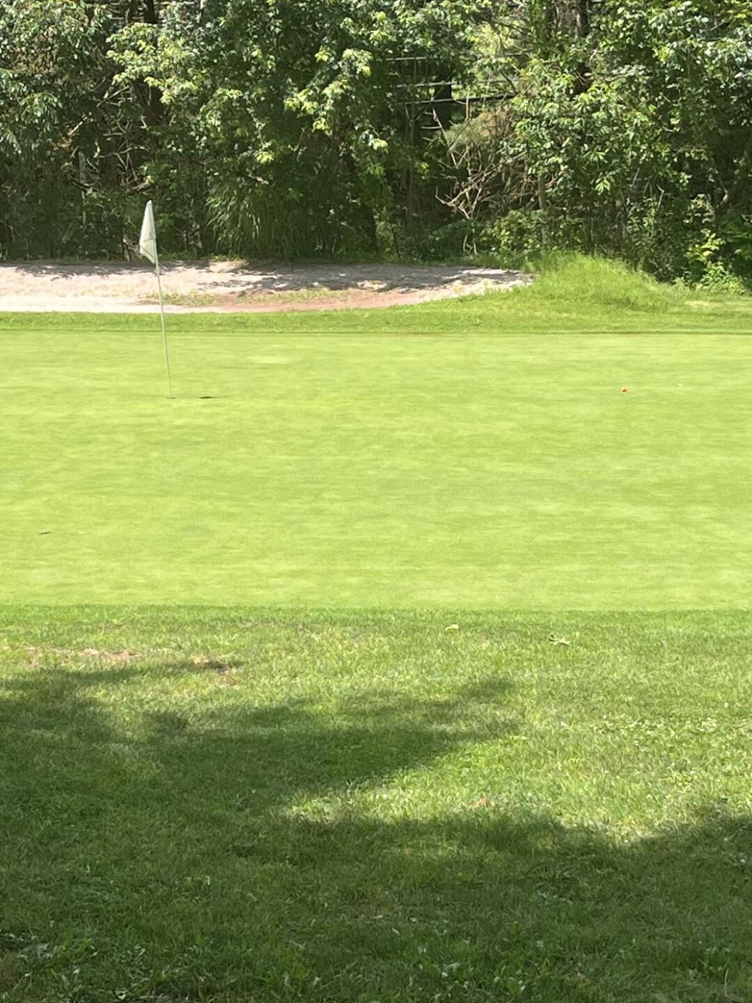 (Photo submitted by Sut56 on 07/14/2025)