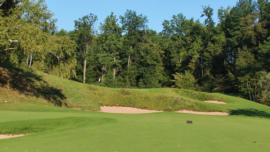 Bull at Pinehurst Farms G.C. - hole 13