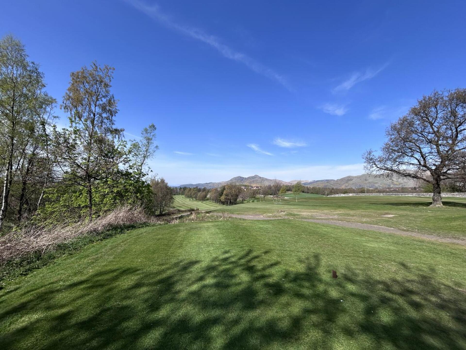 (Photo submitted by stoddy1985 on 04/29/2025)