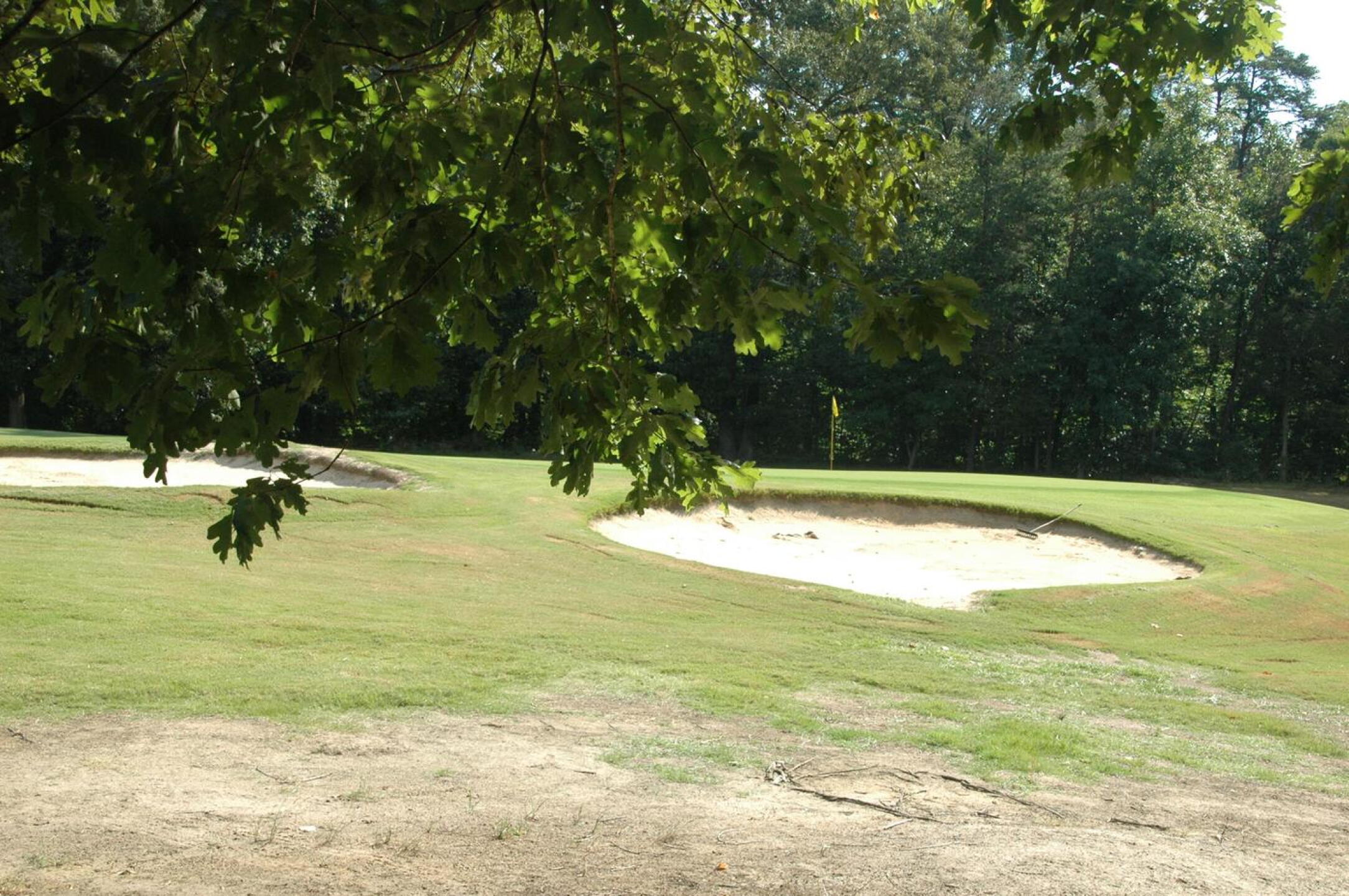14th hole scenery (Photo submitted by celebrte1 on 07/28/2018)