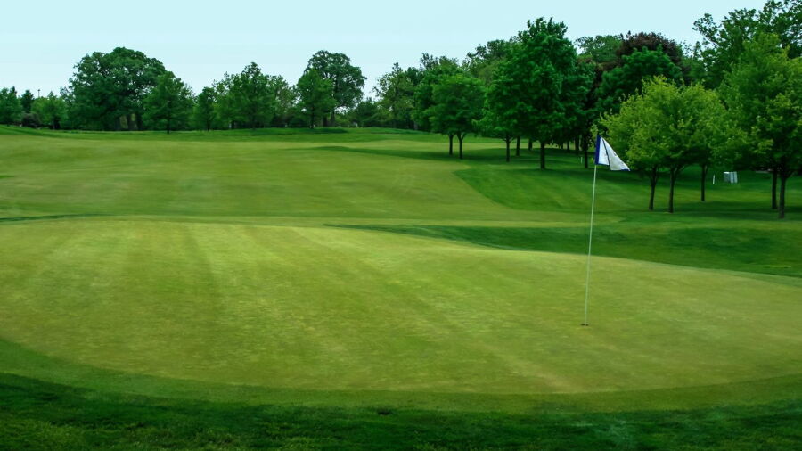 Stonebridge CC: #15