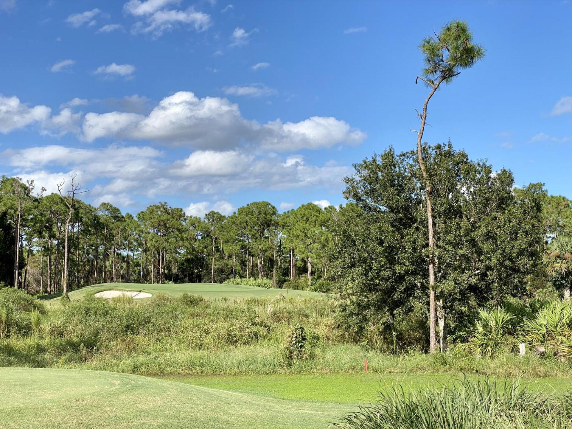 Sandhill Crane Golf Course, hole 11 (Photo submitted by TimGavrichGP on 11/30/2022)