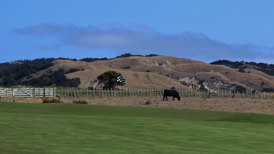 Cape Kidnappers golf course - hole 14