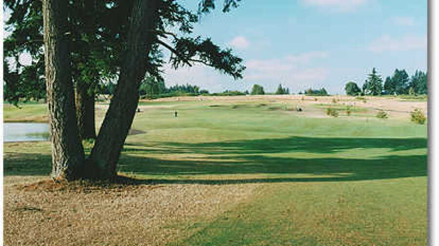 Stone Creek #4