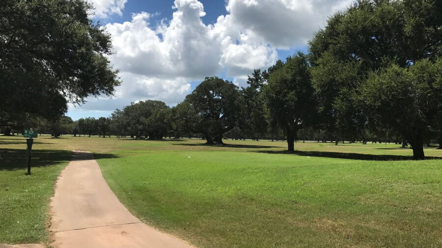 Bay-Cel GC: #8