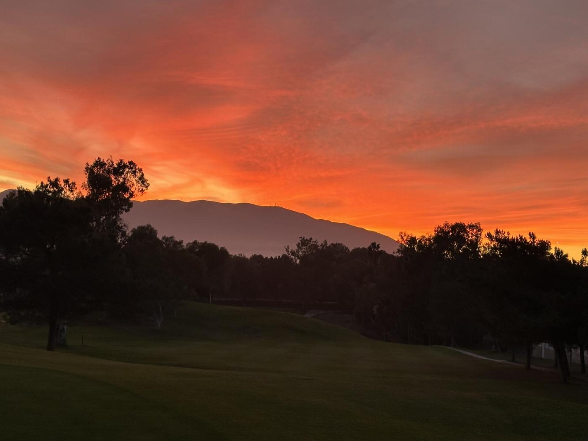 (Photo submitted by ww8irWdjGYnrQRijIoEN on 01/27/2026)