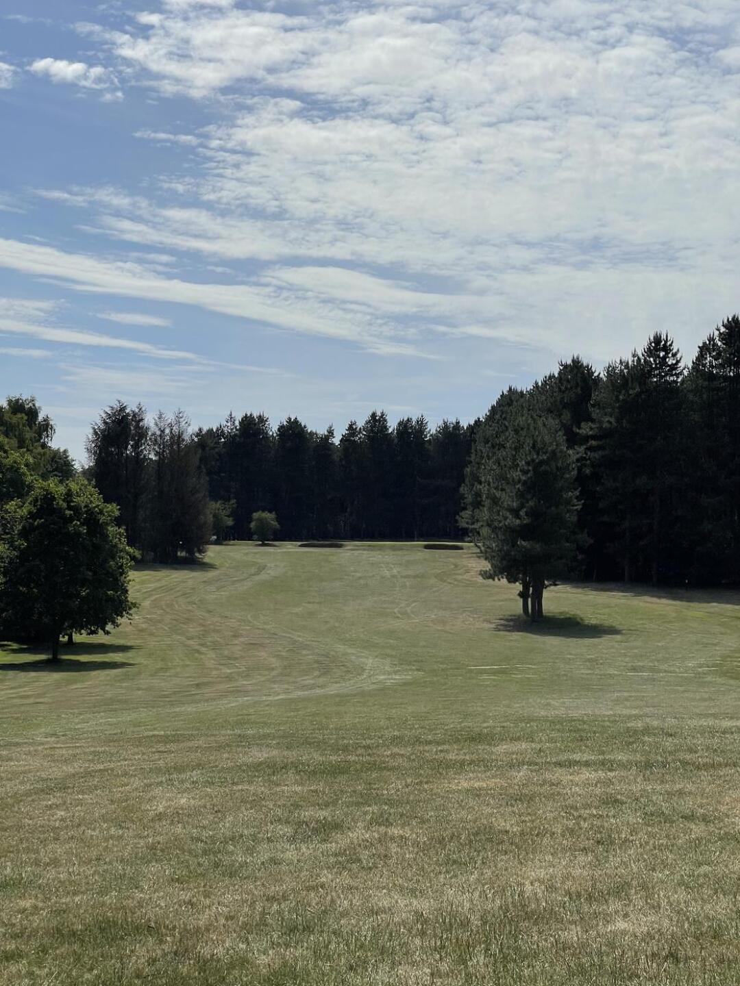 (Photo submitted by rossangeles on 06/17/2022)