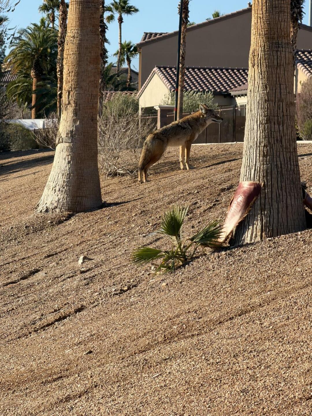 (Photo submitted by ortega29 on 12/25/2025)