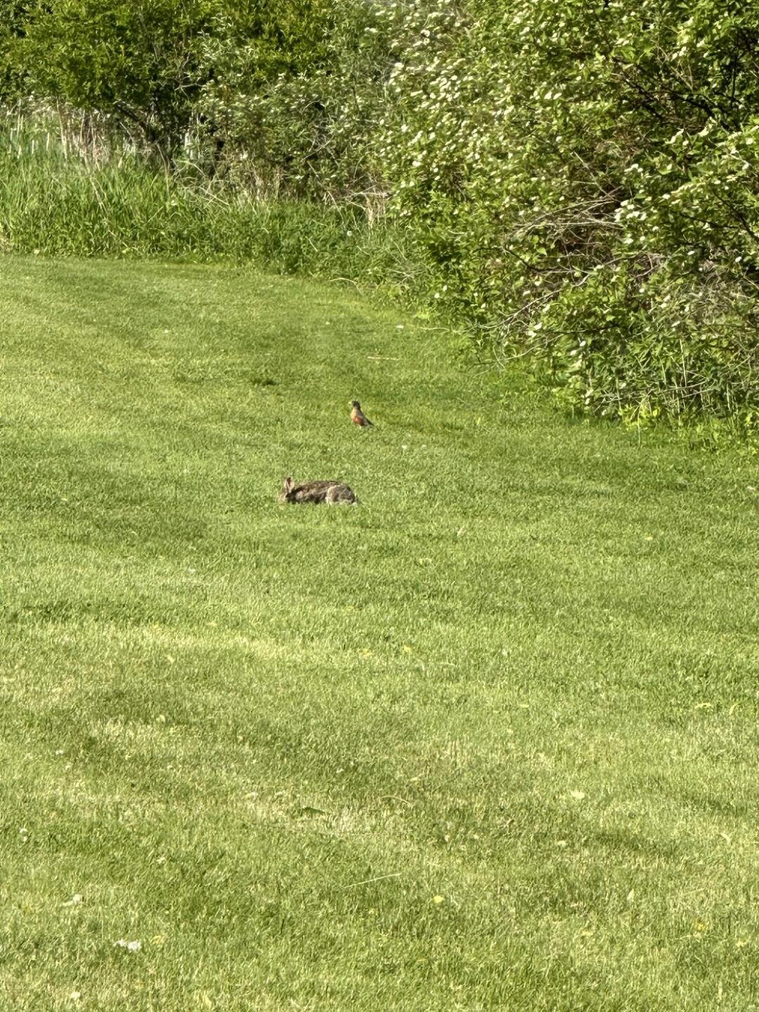 (Photo submitted by dbatz83 on 05/28/2023)