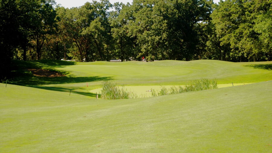 New Ulm CC: #9