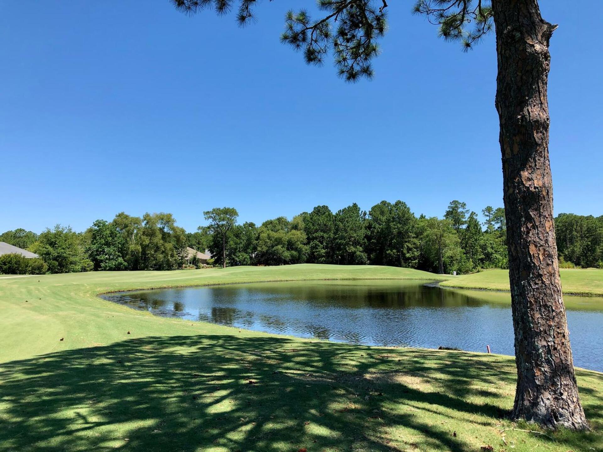 Approach view, par-4 16th hole (Photo submitted by BrandonWebb on 06/16/2020)
