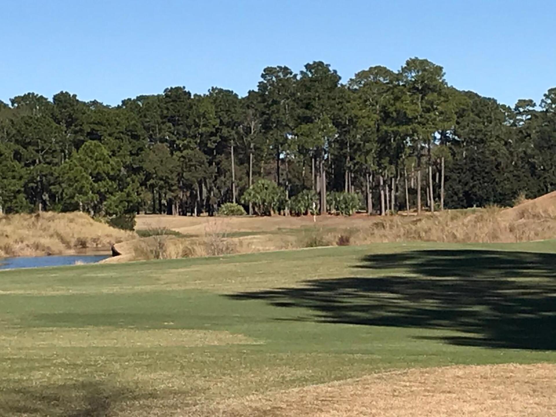 (Photo submitted by u00000929952 on 01/10/2020)