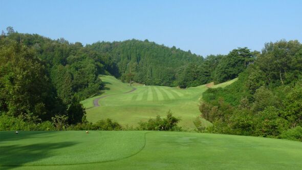 Excellent GC Mitake Hana Topia: #13