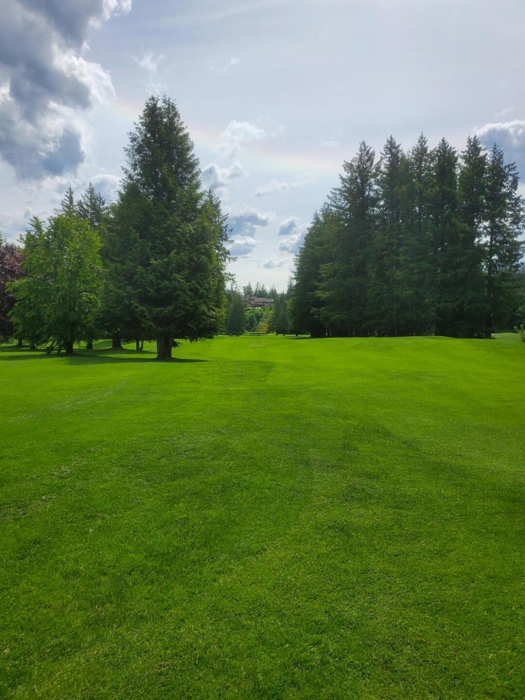 (Photo submitted by Bill7812597 on 06/09/2022)