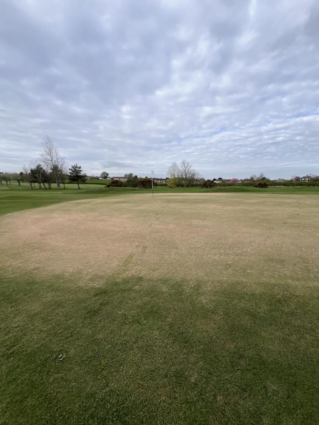 (Photo submitted by pkelly1990 on 04/21/2026)