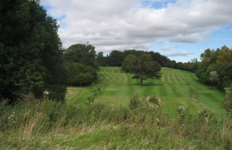Balbirnie Park fairway