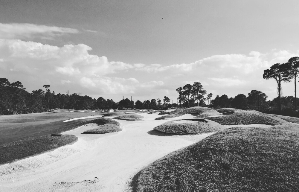 pga-dye-7.jpg