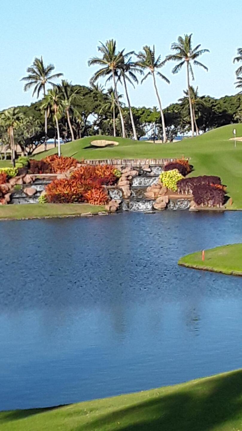 (Photo submitted by gtmaxwell63 on 02/16/2020)