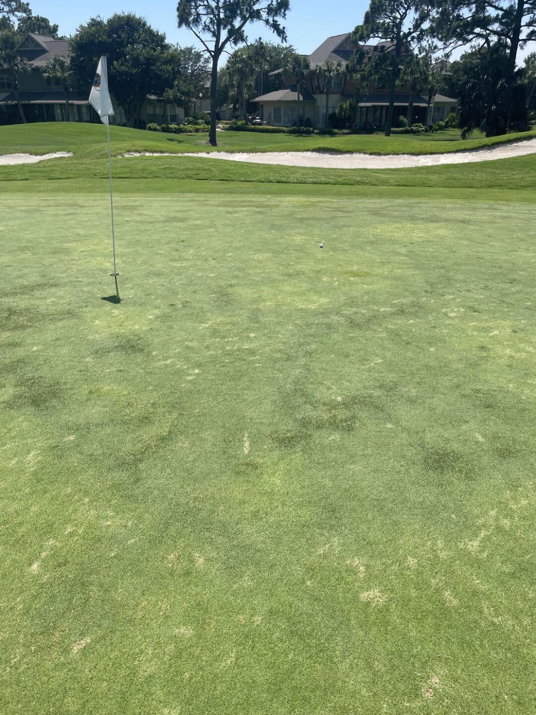 Hole #1 Green (Photo submitted by u000001493158 on 05/29/2024)