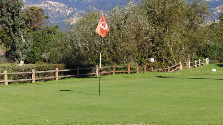 Twin Lakes GC: #3