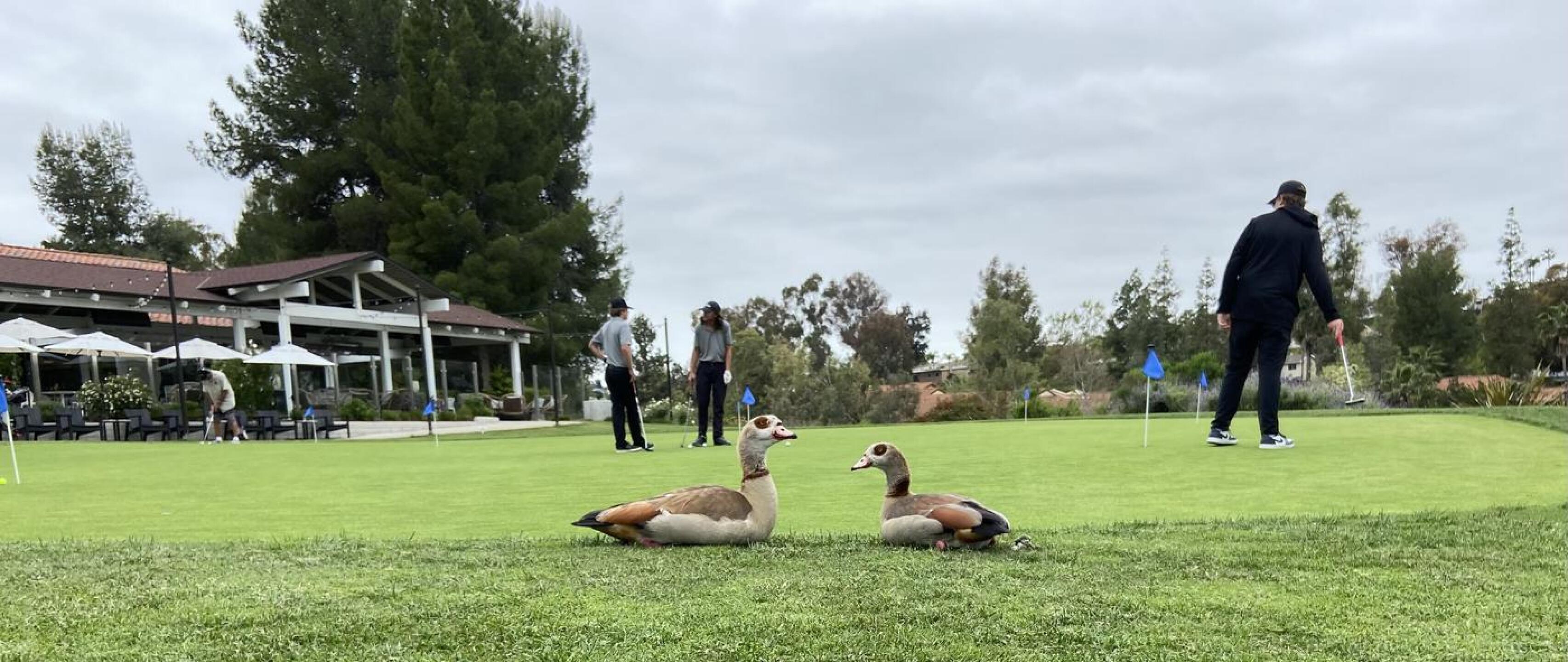 (Photo submitted by work4pho on 04/24/2024)