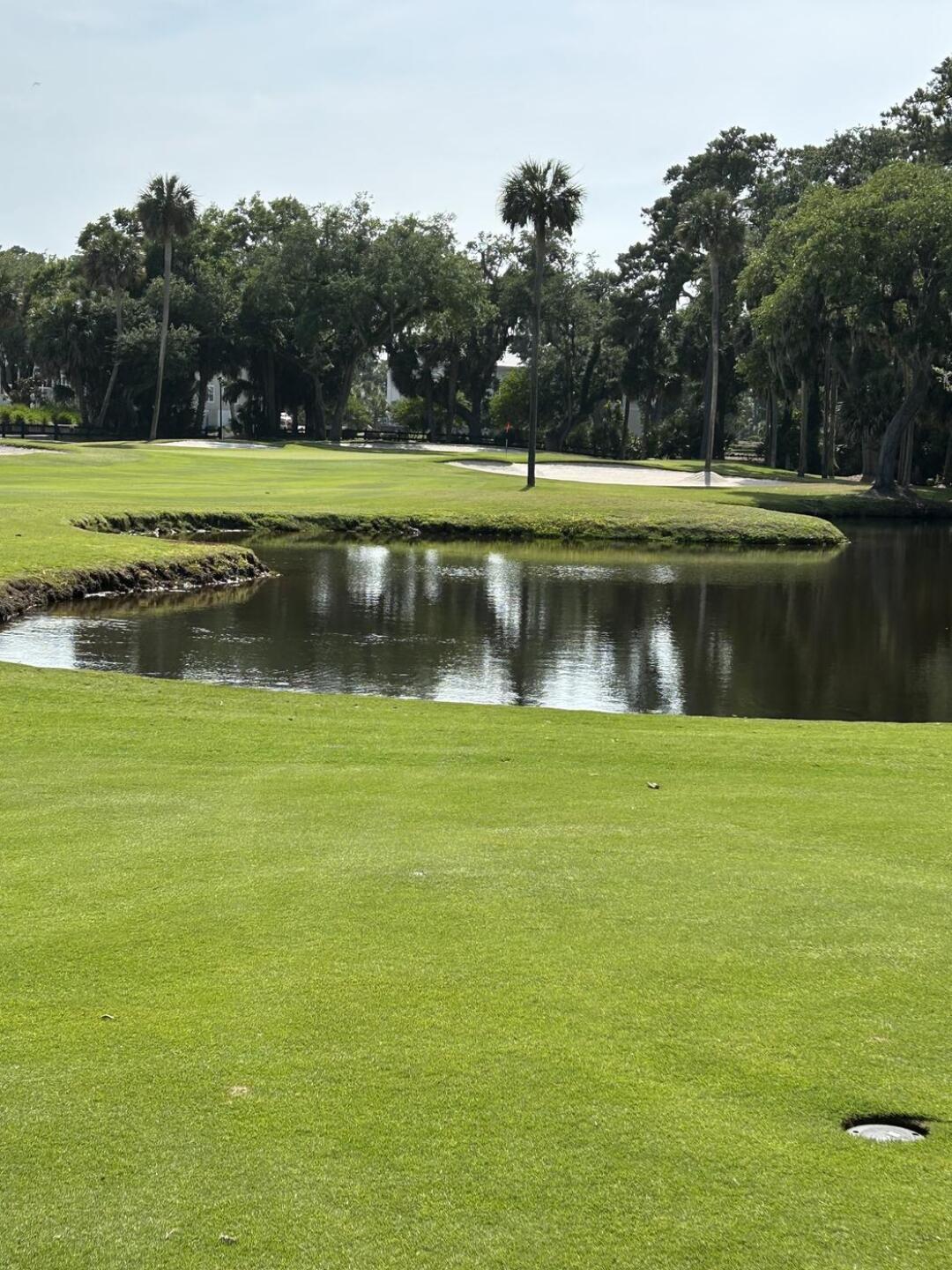 (Photo submitted by adaberne7 on 06/17/2023)