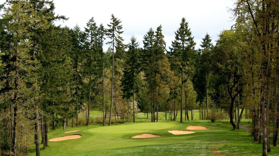 Diamond Woods