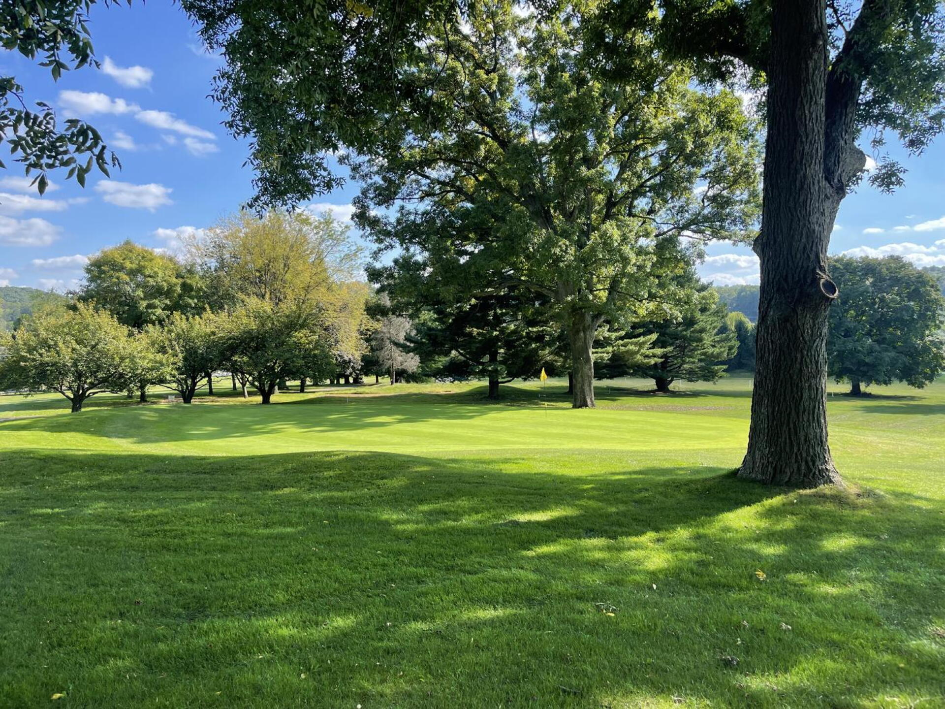 Hole 5 green (Photo submitted by u417350081 on 10/10/2024)