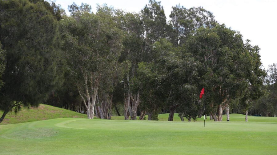 Green at Cronulla