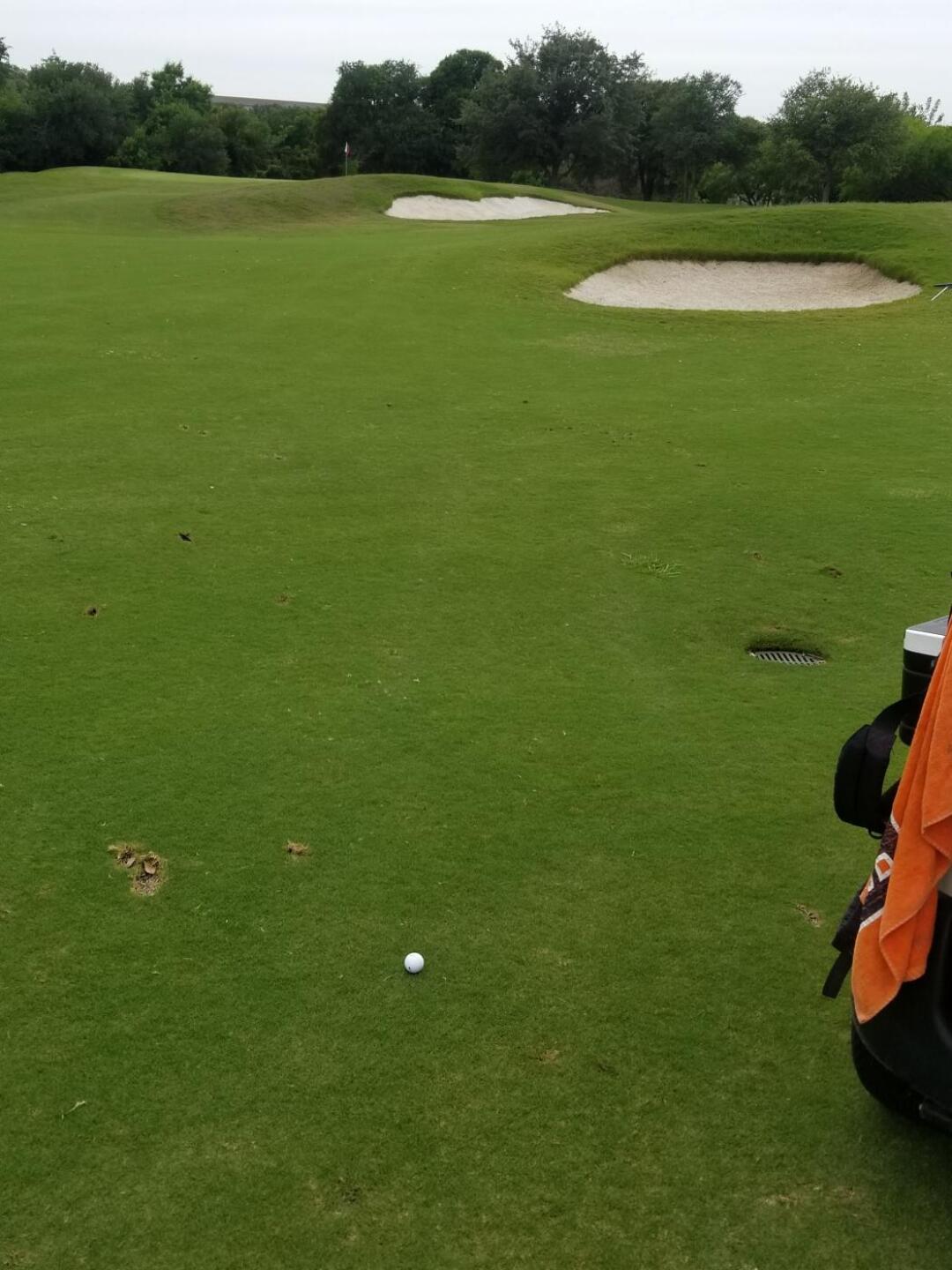 (Photo submitted by u979059820 on 05/08/2019)