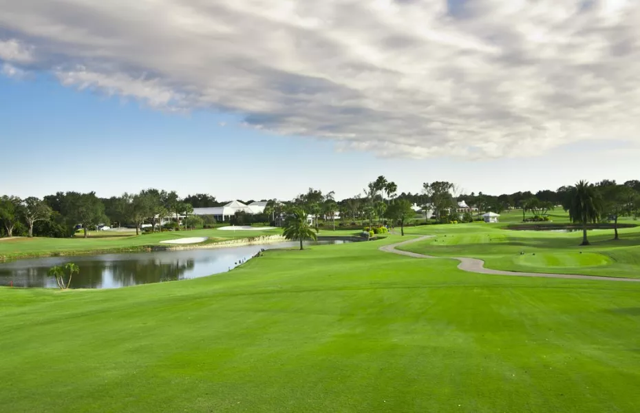 Plantation GCC - The Bobcat: #10, #18